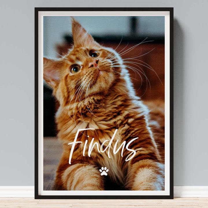 fotoposter katze geschenk